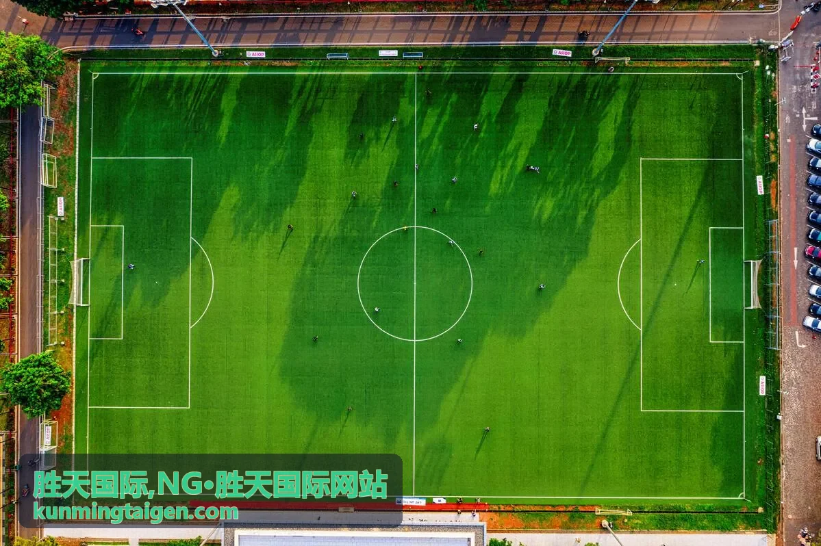 胜天国际,NG·胜天国际网站常见问题封面